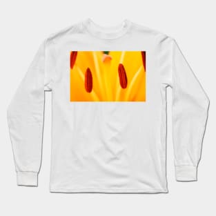 Lilium  'Brunello'  Asiatic Lily  Close up of anthers Long Sleeve T-Shirt